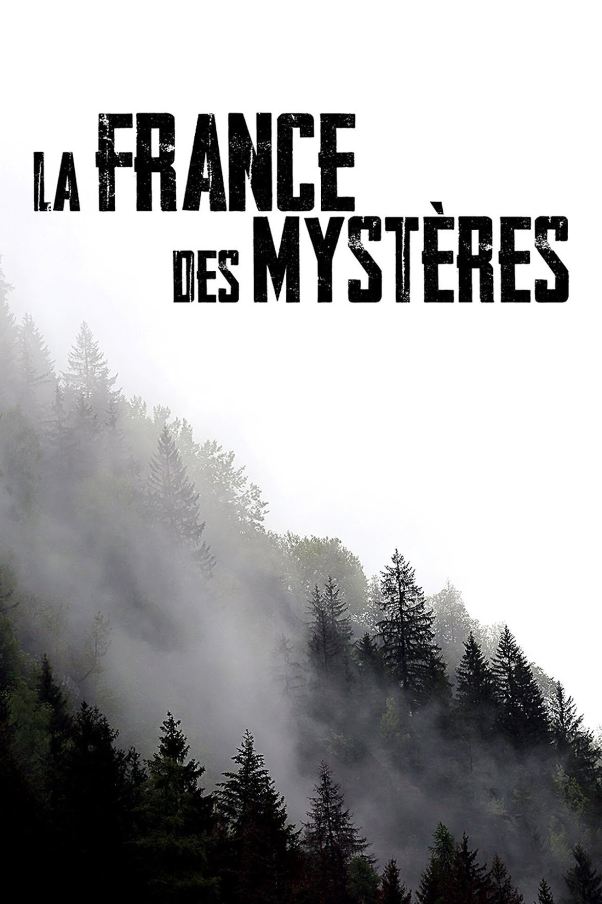 Poster de Temporada 2