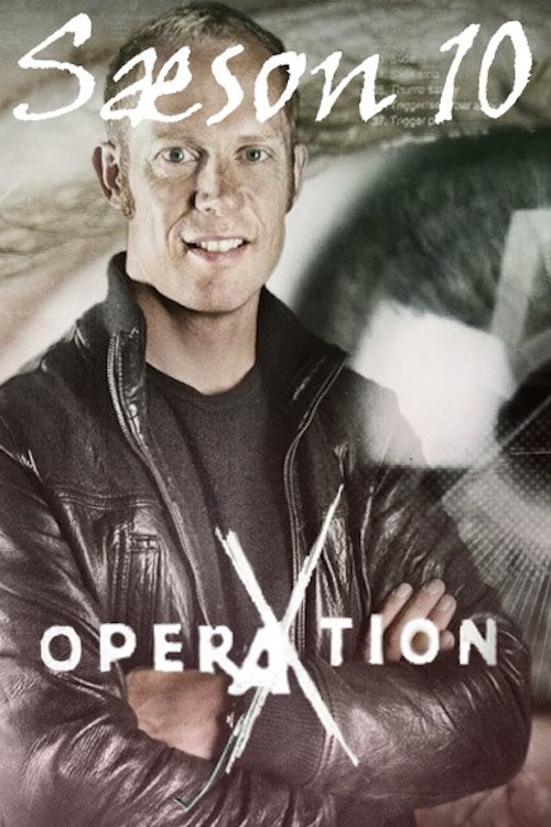 Poster de Temporada 10