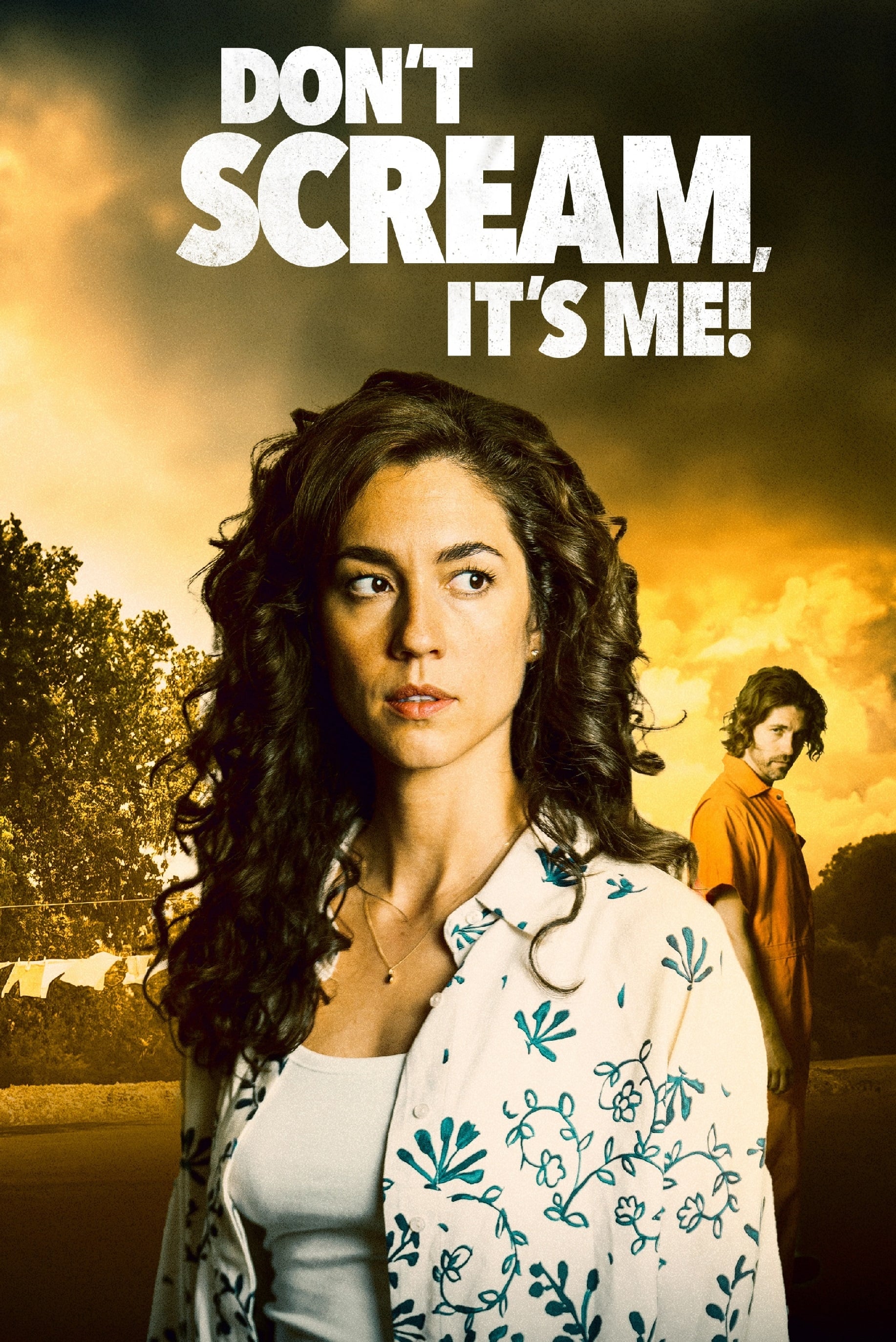Affiche du film Don't Scream, It's Me!