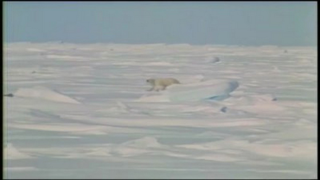 On the Arctic Ice Pack