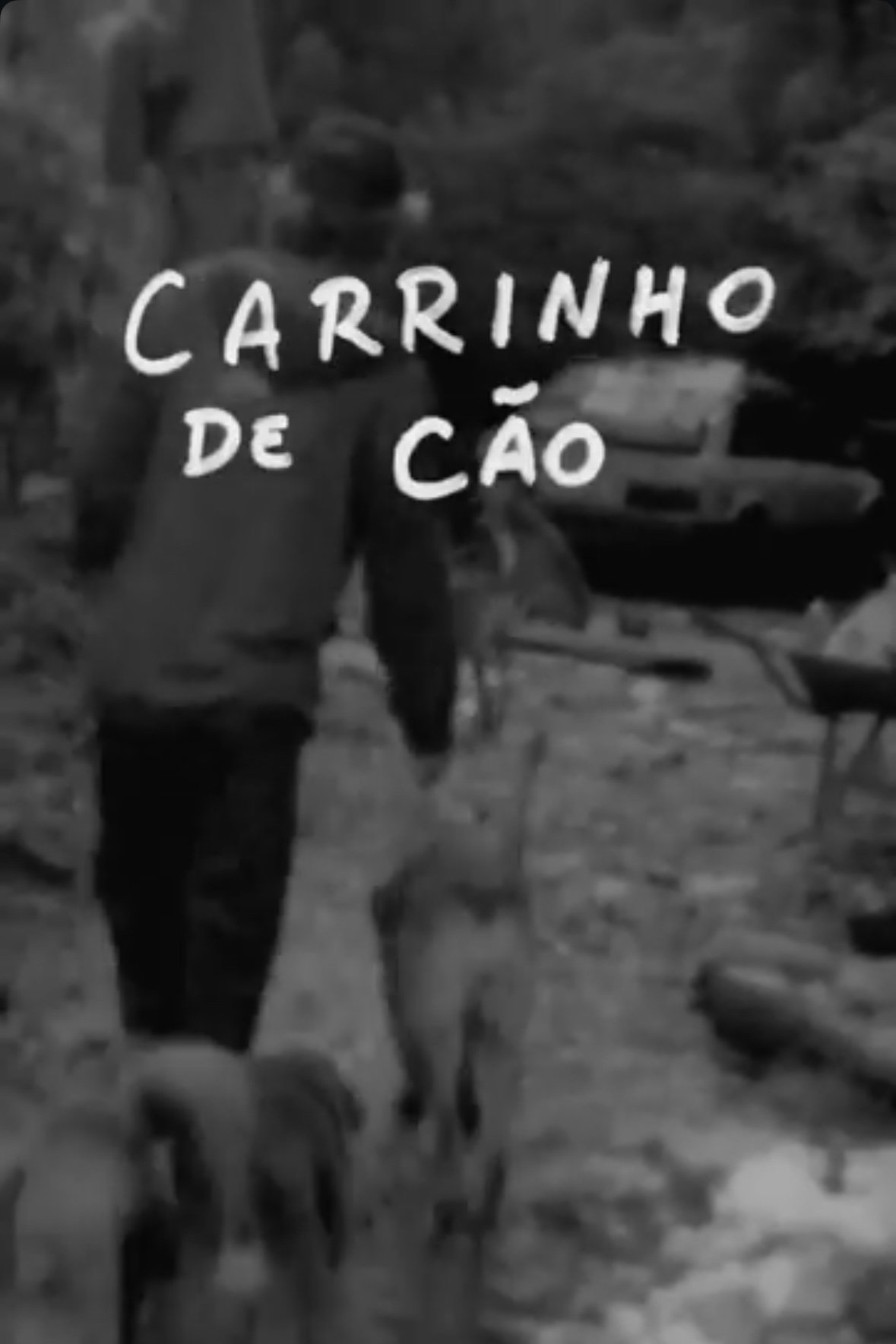 Poster de Carrinho de Cão