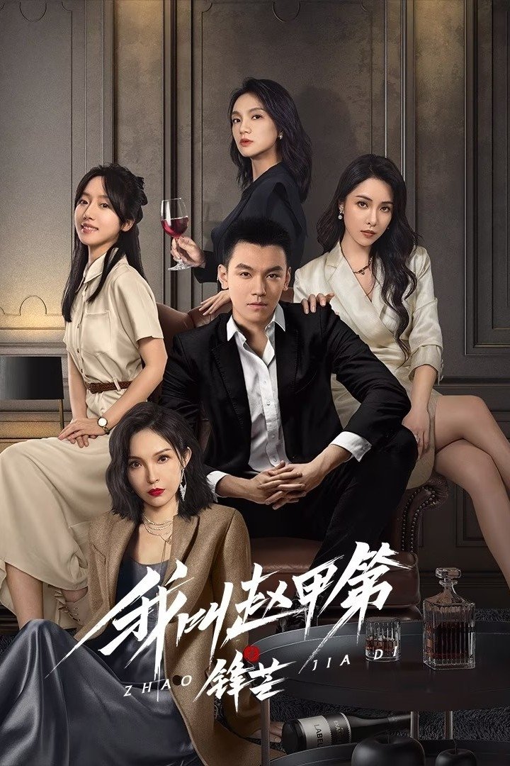 Poster de 我叫赵甲第之锋芒