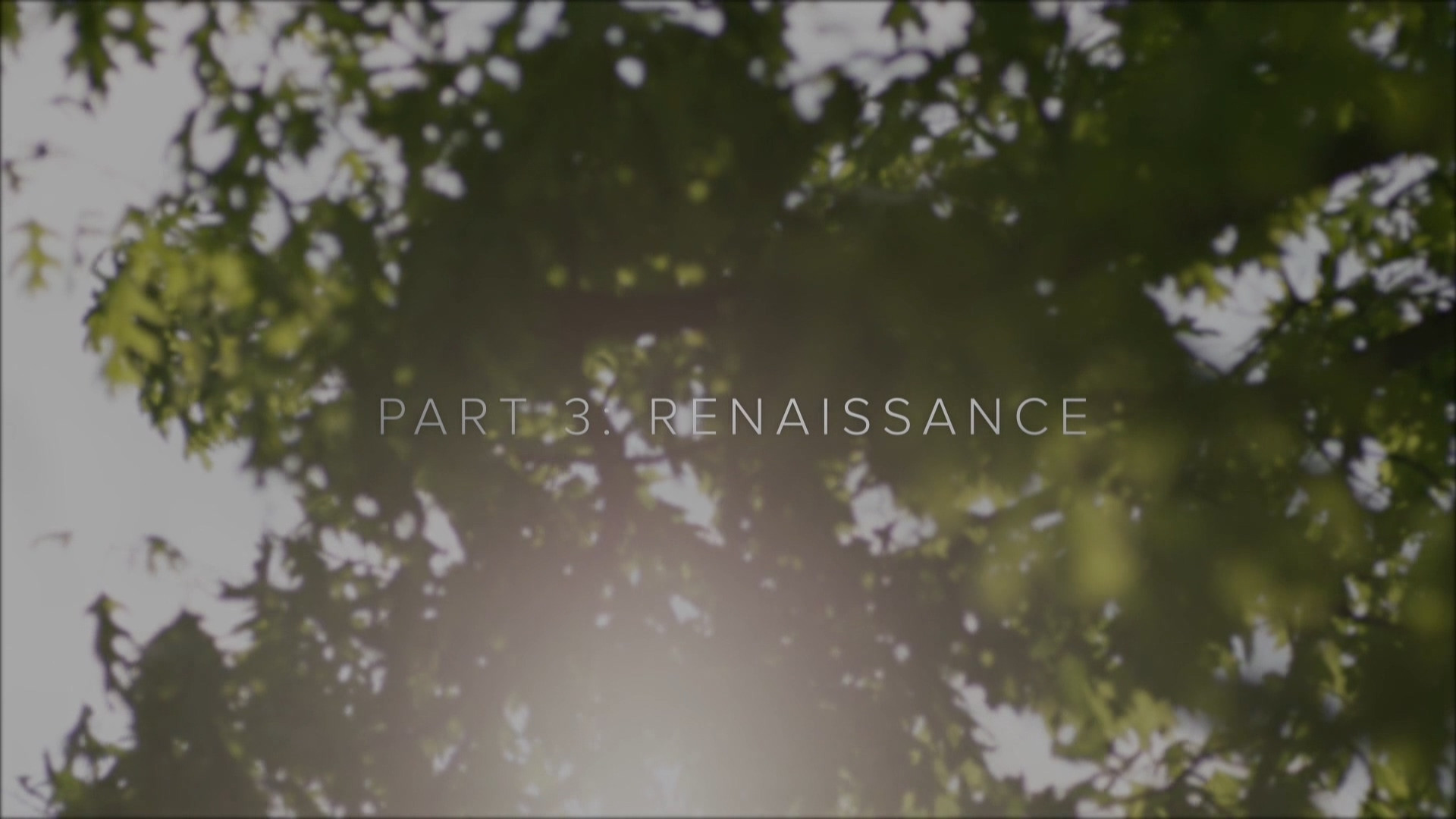 Twin Peaks: The Phenomenon Part 3