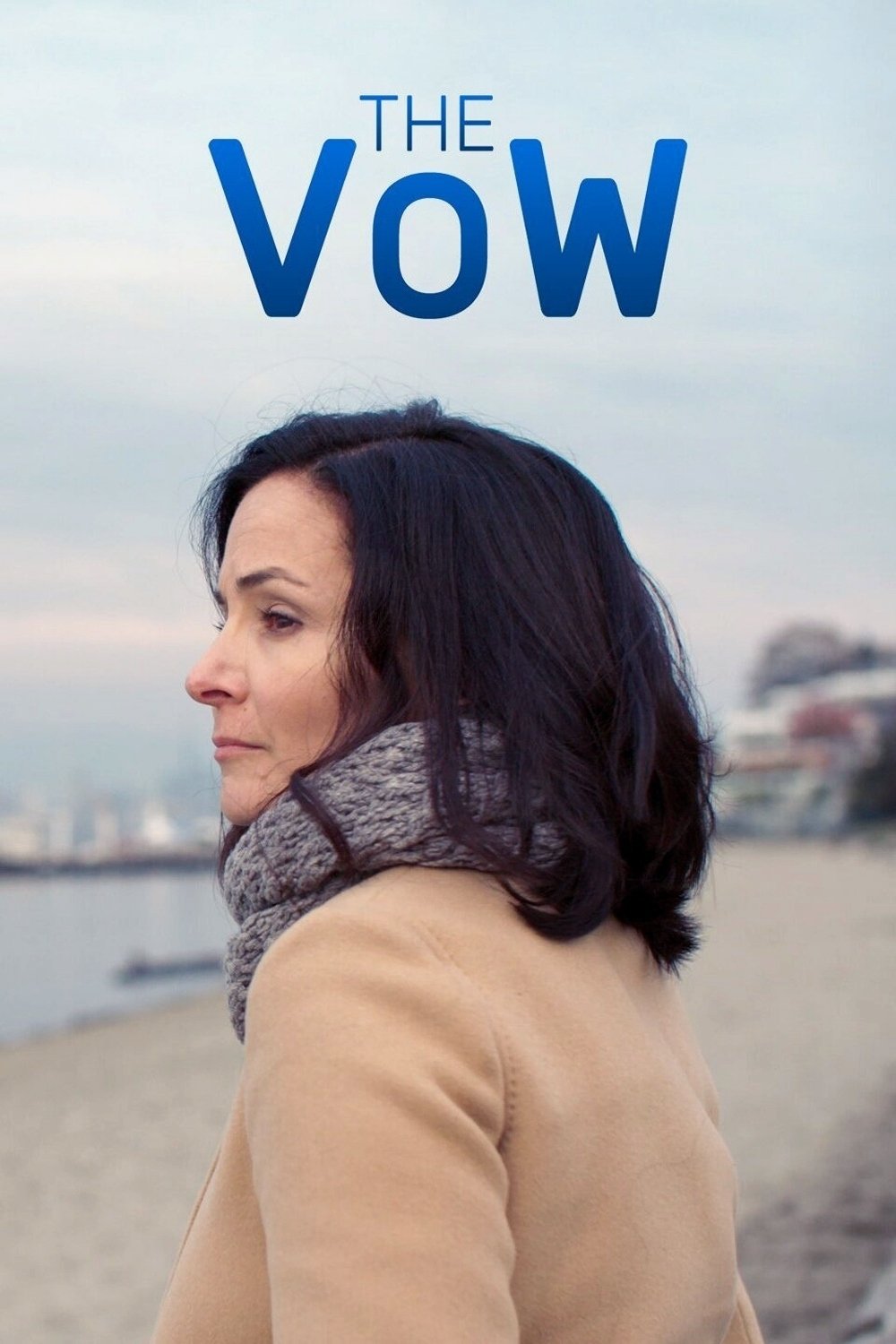 Poster de The Vow