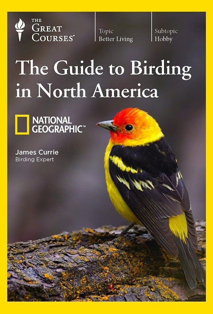 Poster de The National Geographic Guide to Birding in North America
