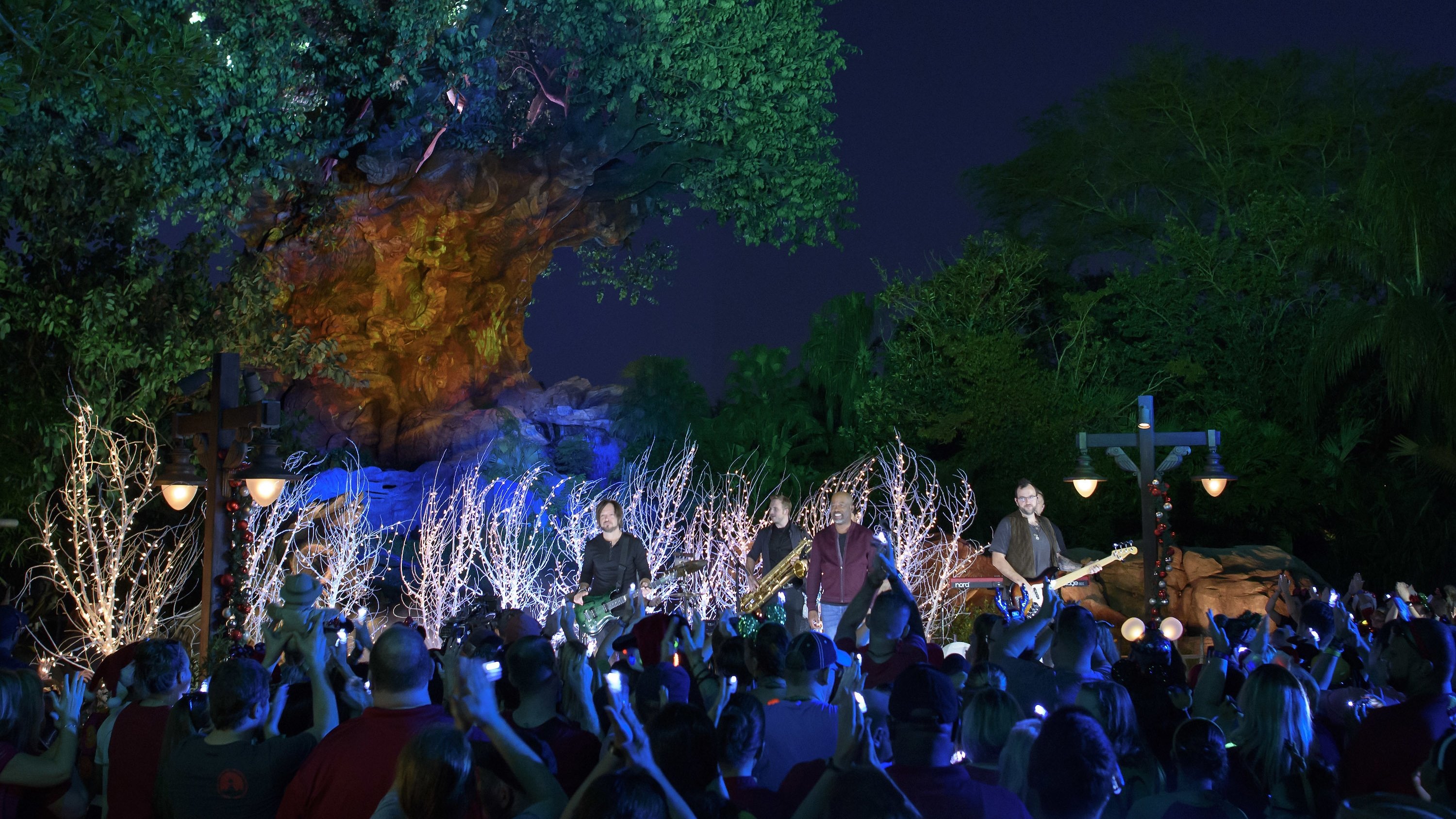 Backdrop image