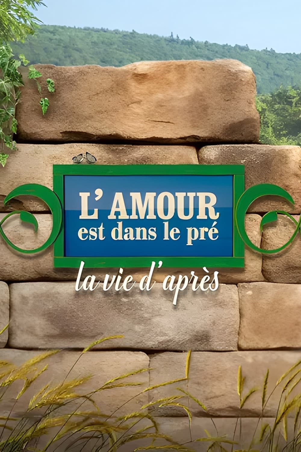 Poster de L'amour est dans le pré, la vie d'après