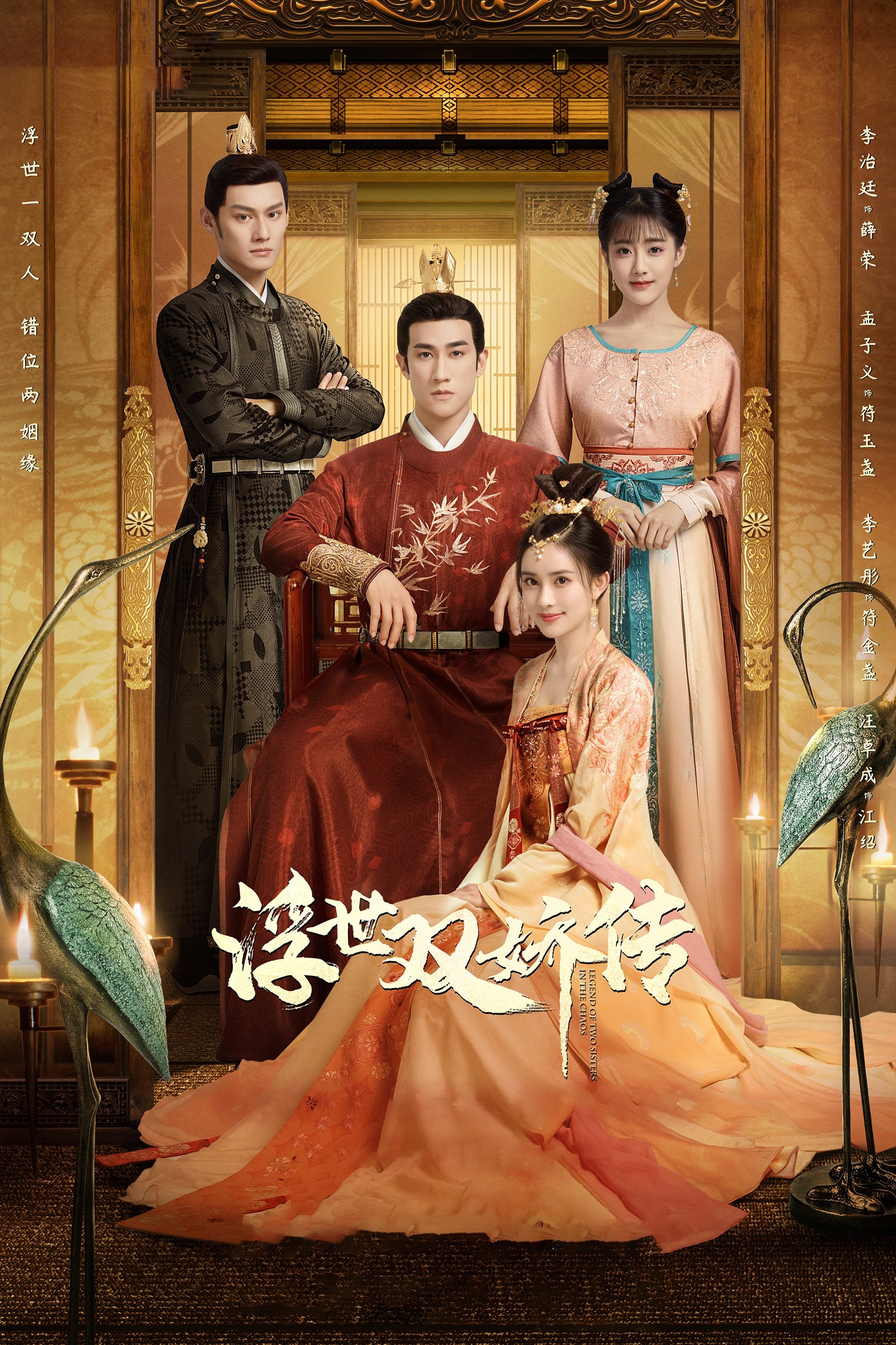 Poster de 浮世双娇传
