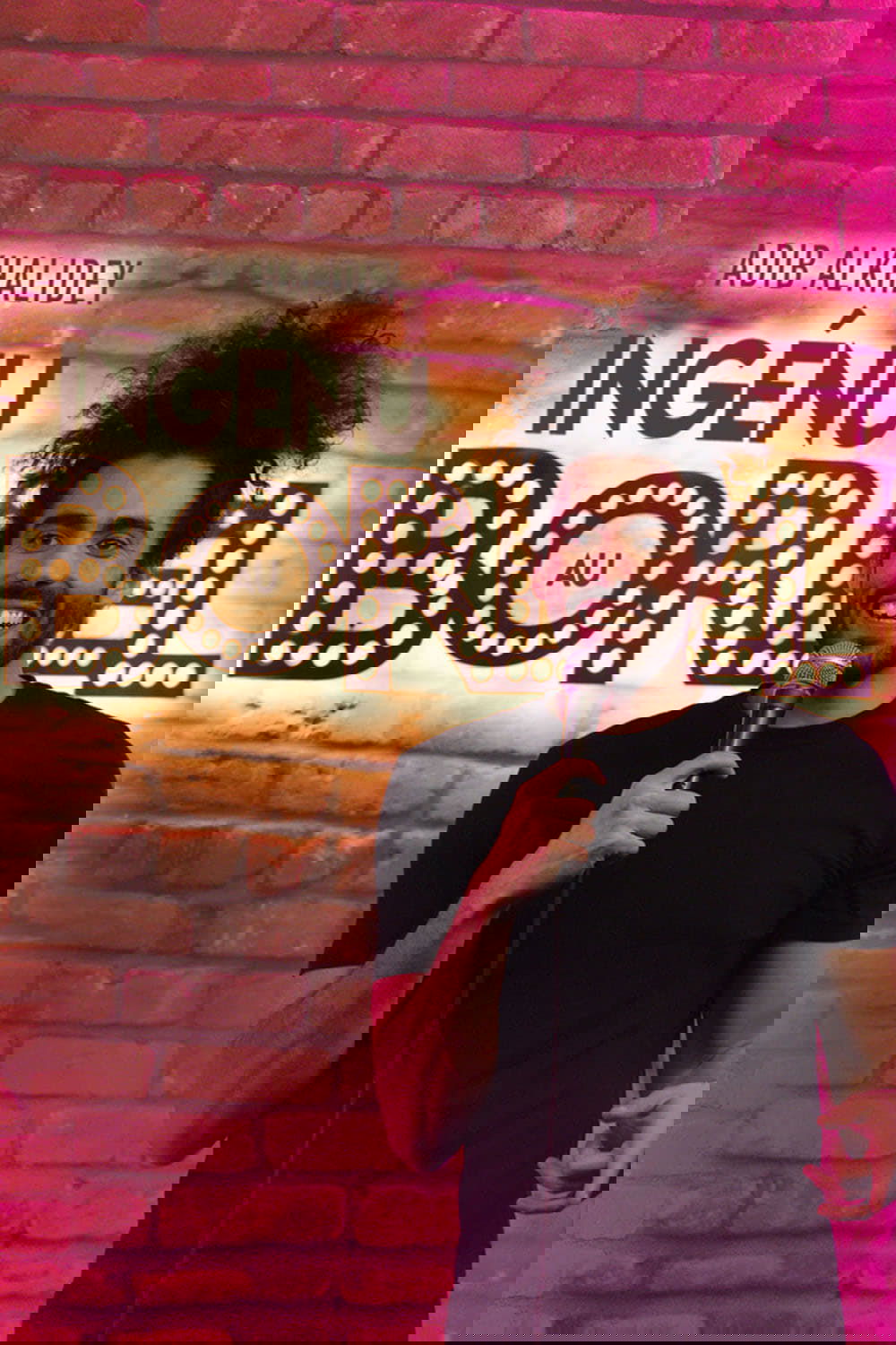Poster for Adib Alkhalidey: Ingénu au Bordel