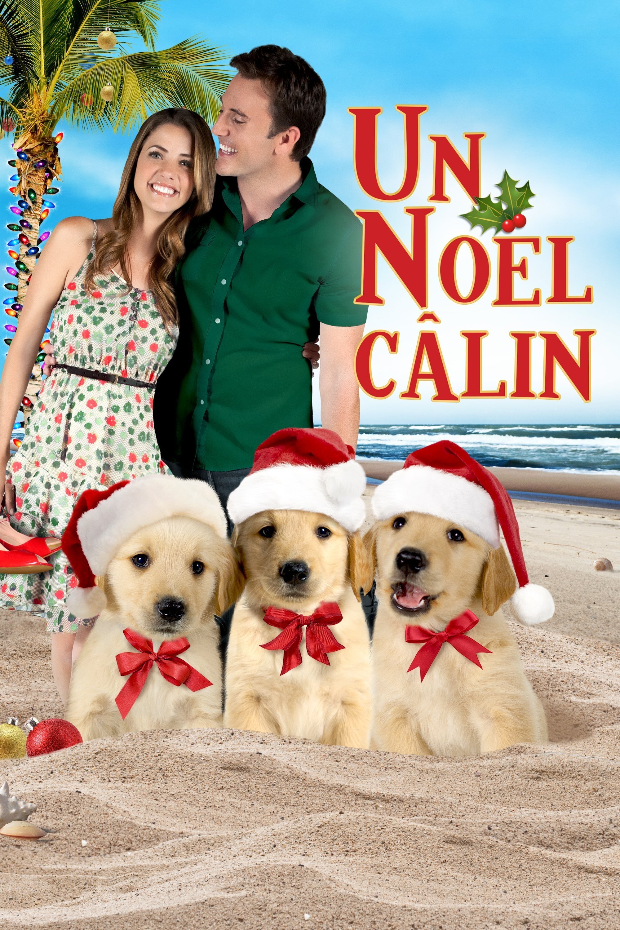 Affiche du film 3 Holiday Tails