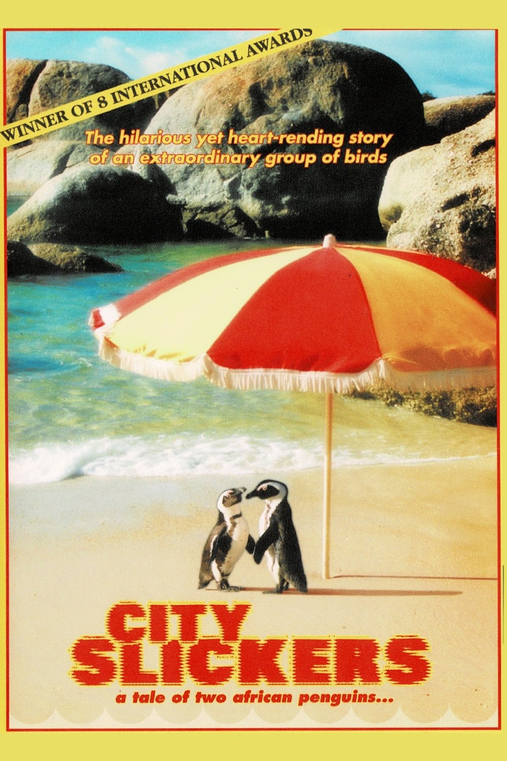 Poster de City Slickers: A tale of two African penguins