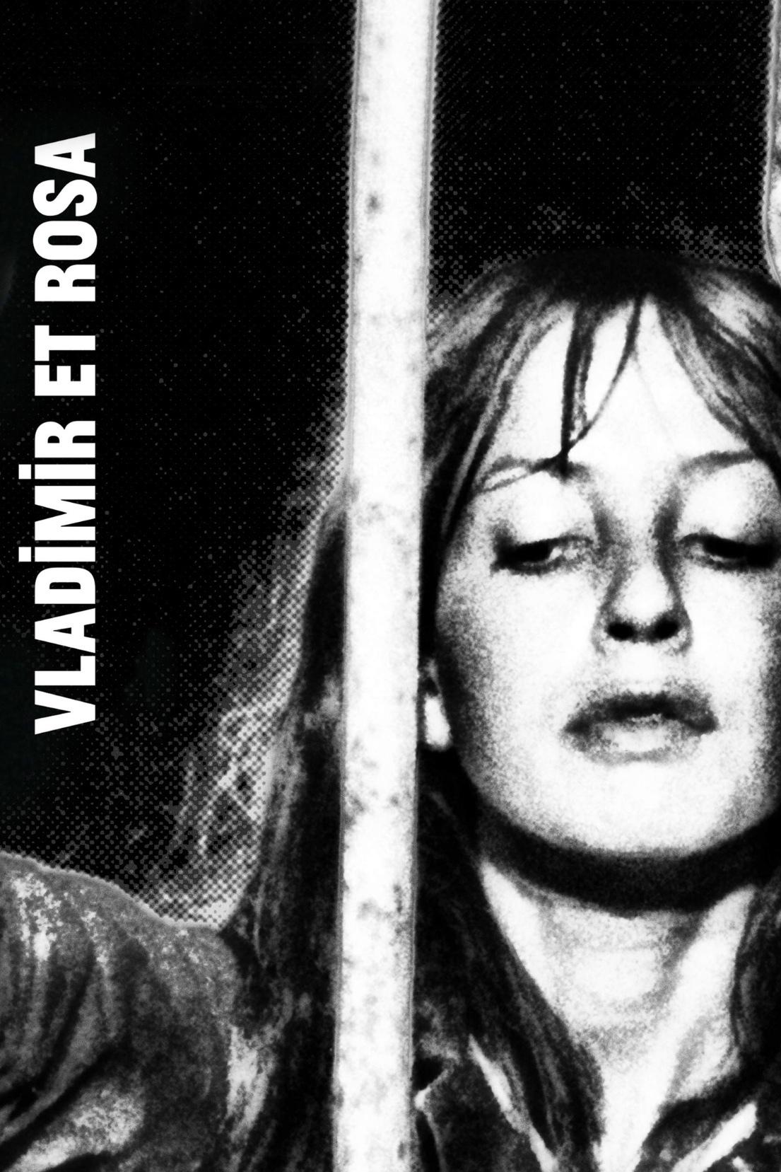Poster de Vladimir e Rosa
