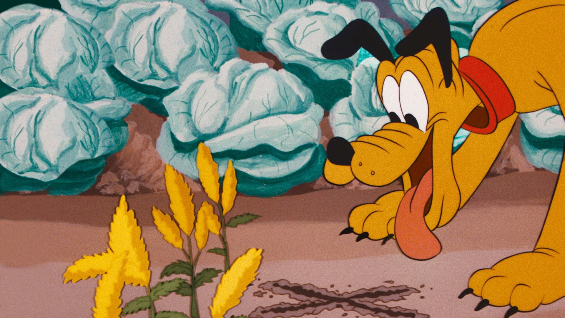 Backdrop image