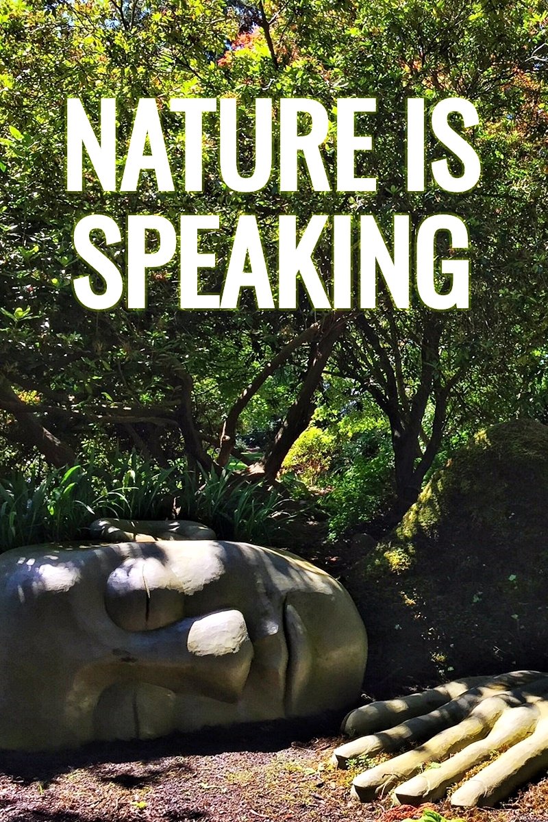 Poster de A Natureza Está Falando