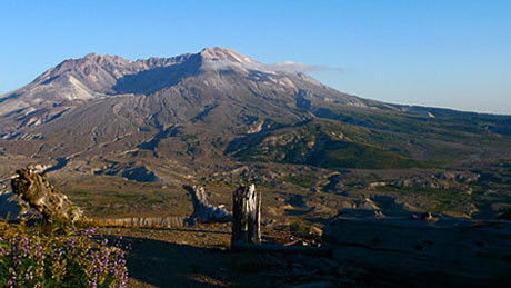 Mt. St. Helens Back From the Dead