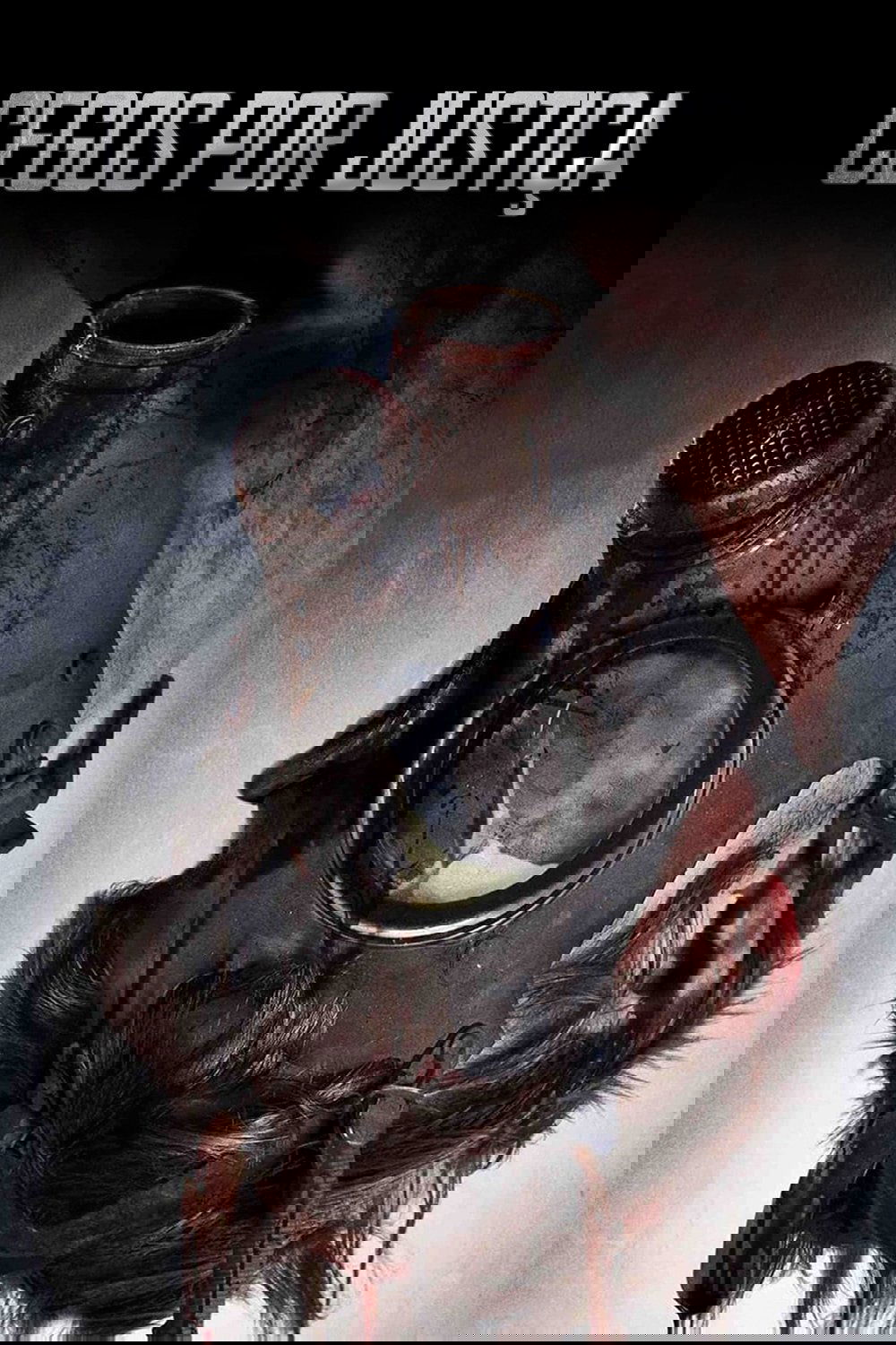 Poster de Cegos Por Justiça