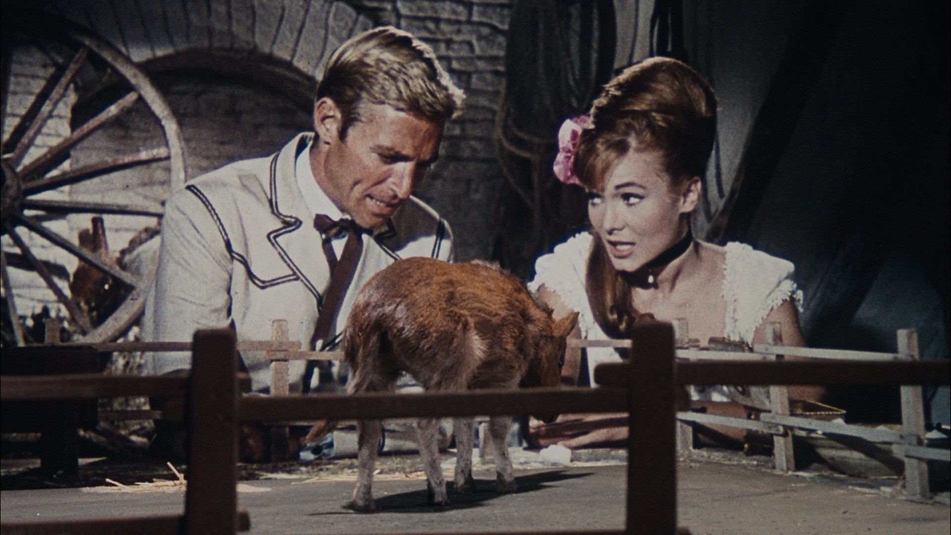 Backdrop image