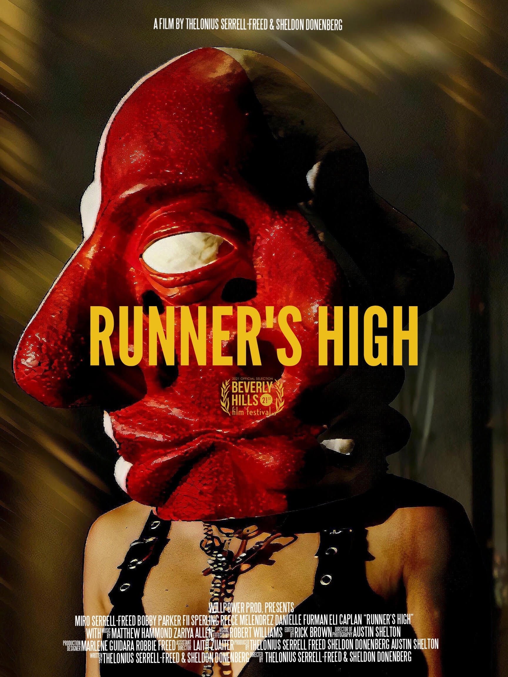 Poster de Runner's High