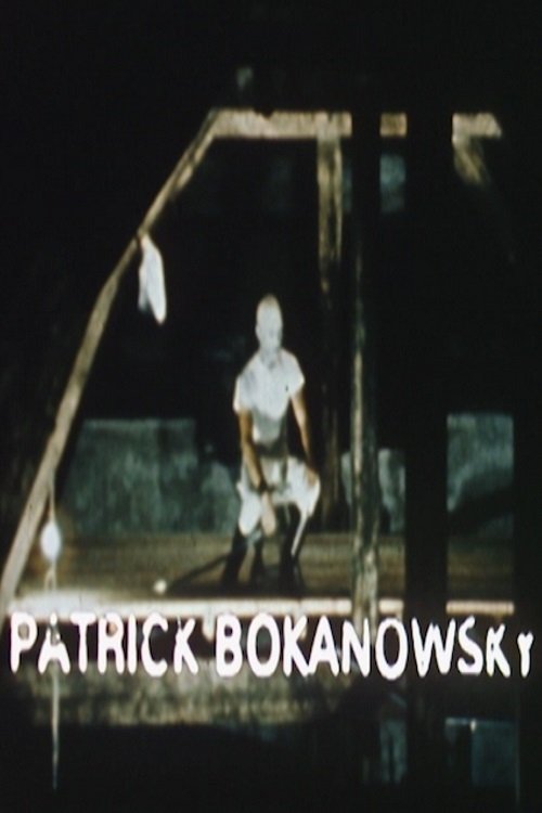 Poster de Un créateur de l'imaginaire : Patrick Bokanowski - Ciné-Court