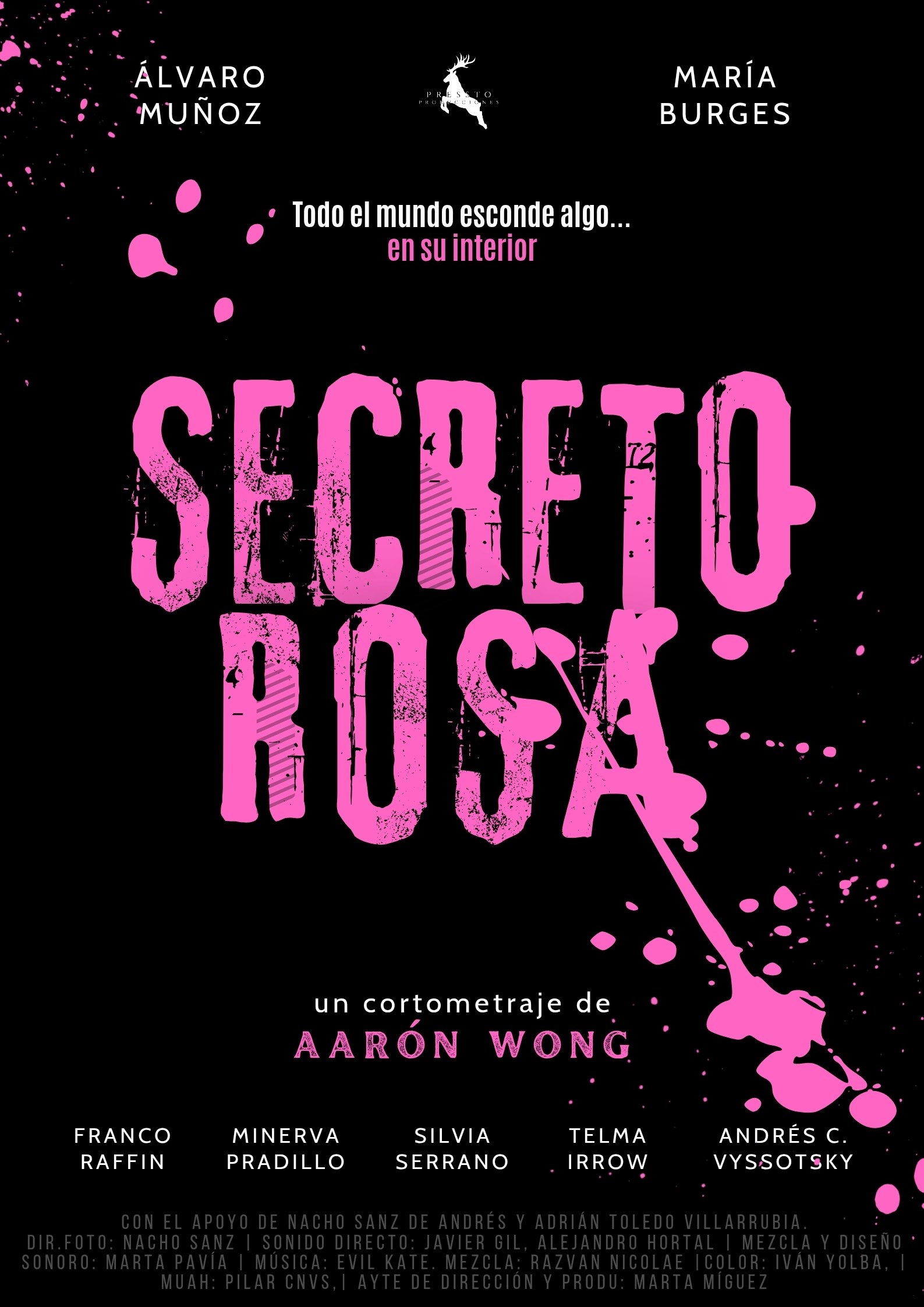 Poster de Secreto Rosa