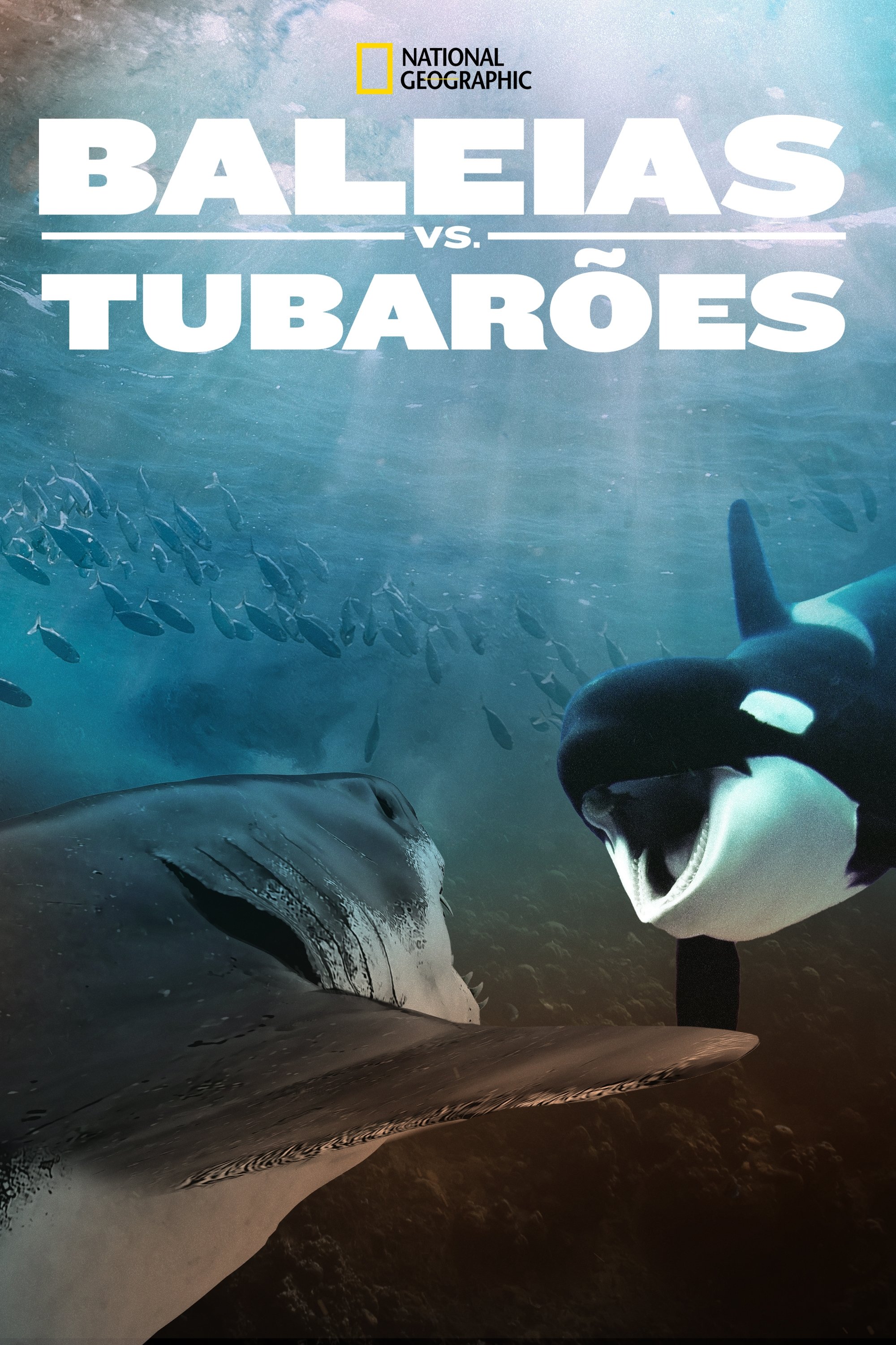 Poster de Baleias vs. Tubarões