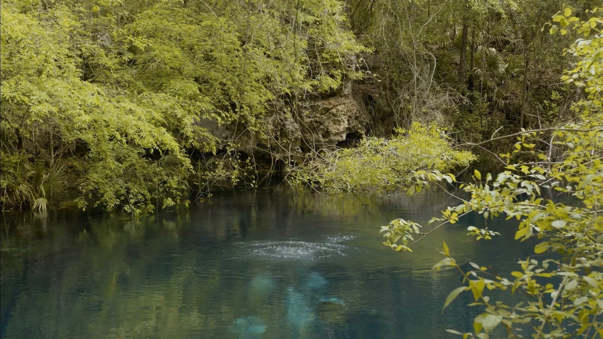 Cave Diving