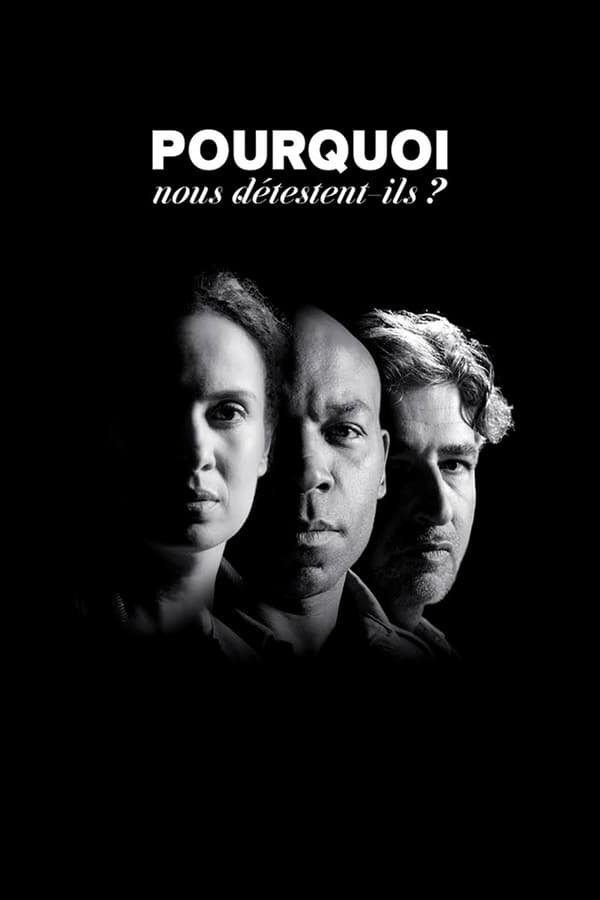 Poster for Pourquoi nous détestent-ils ?