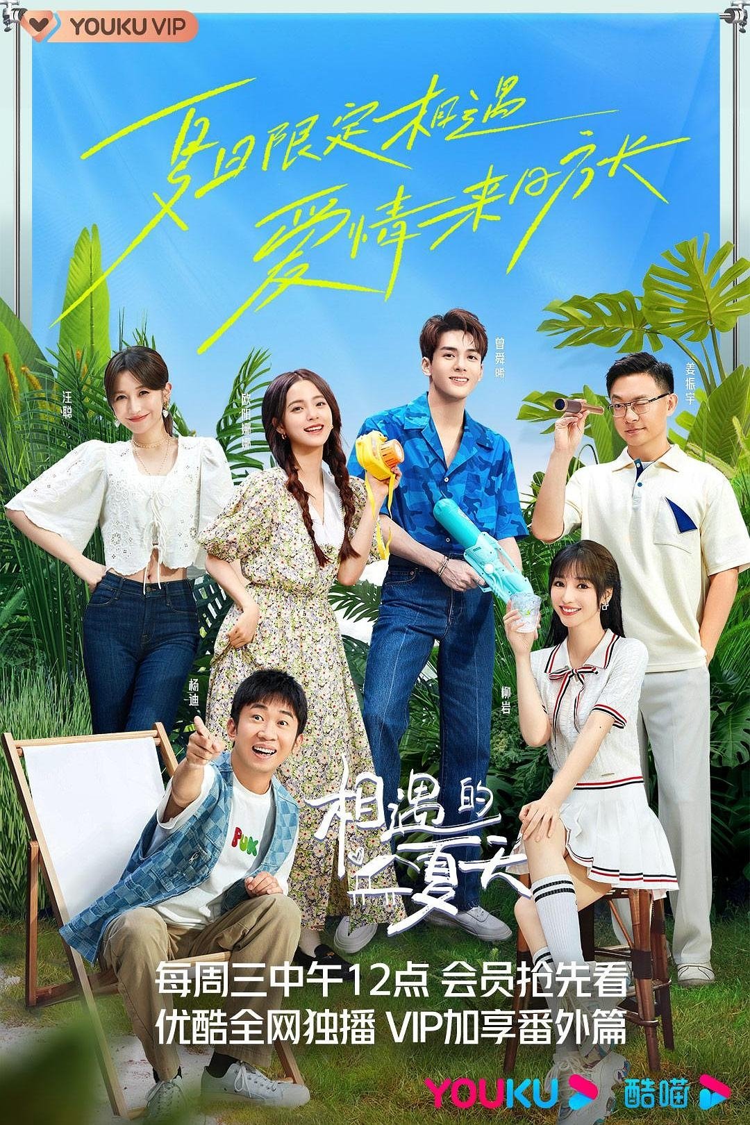 Poster de 相遇的夏天