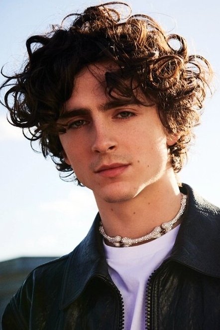 Foto de Timothée Chalamet
