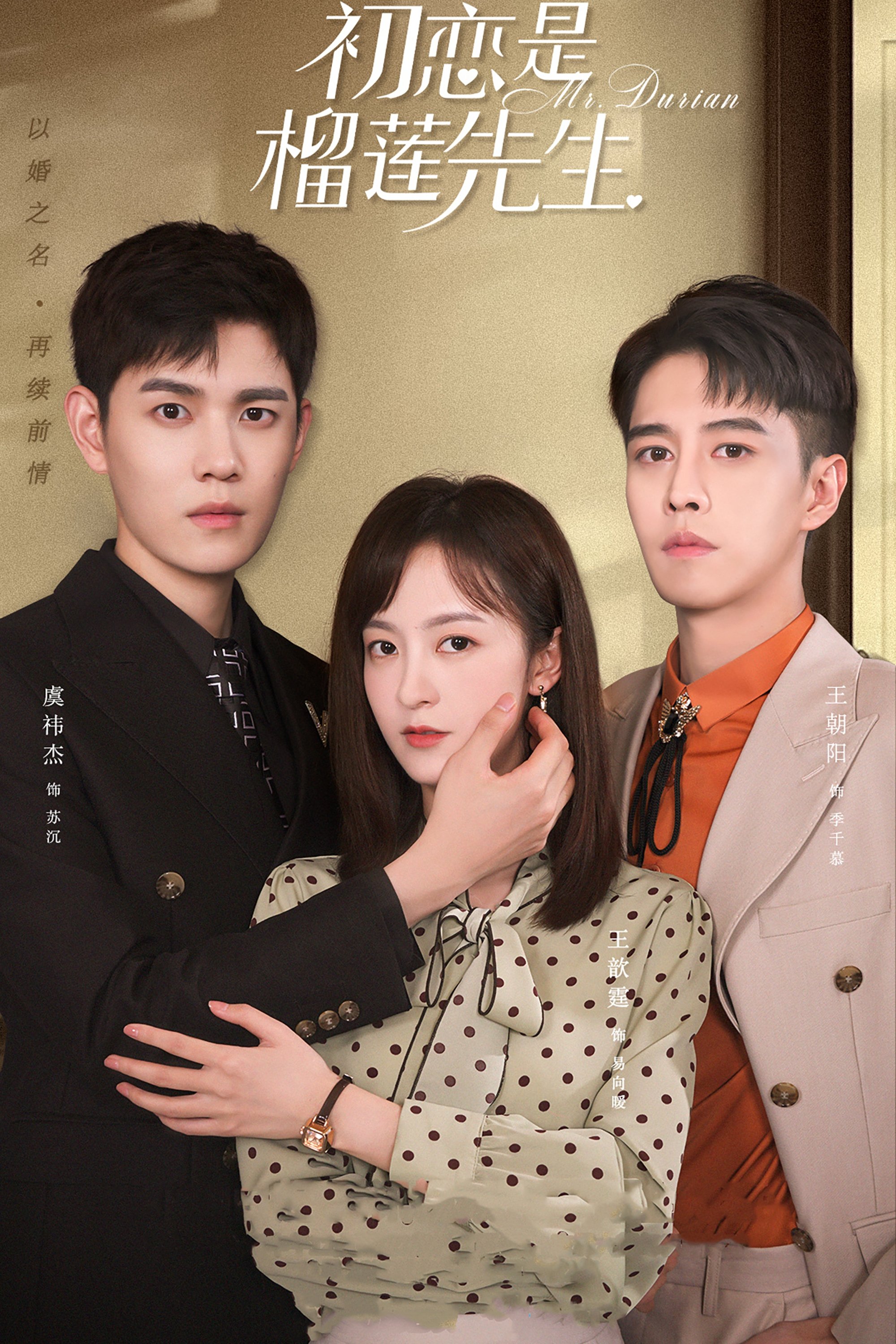 Poster de 初恋是榴莲先生