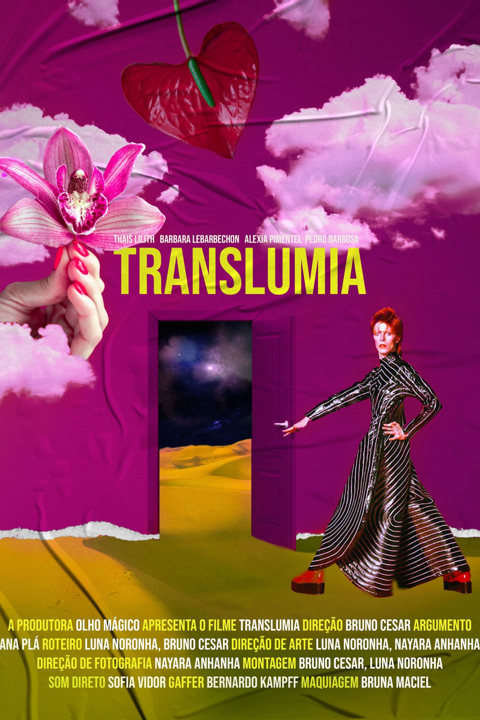 Poster de Translúmia