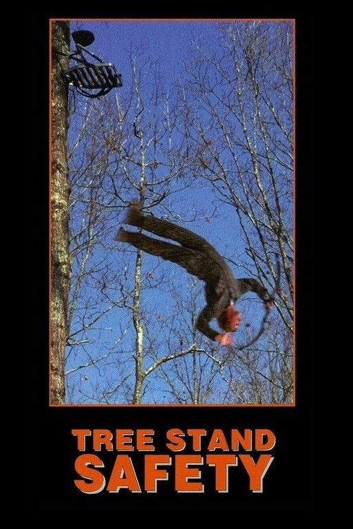 Poster de Tree Stand Safety