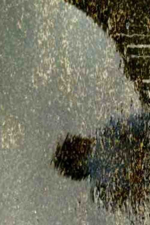 Poster de Rest