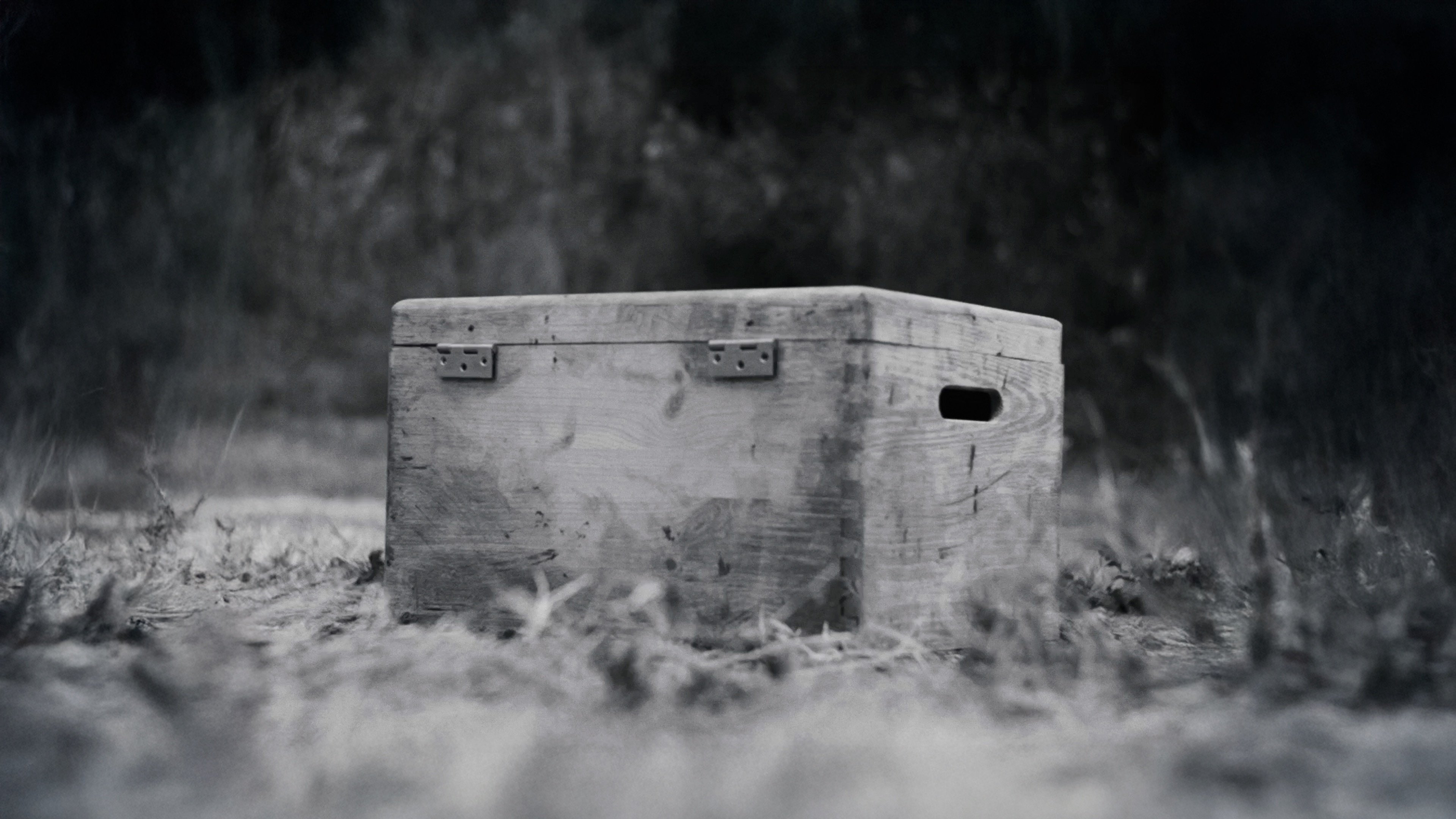 Ariadne Wagner