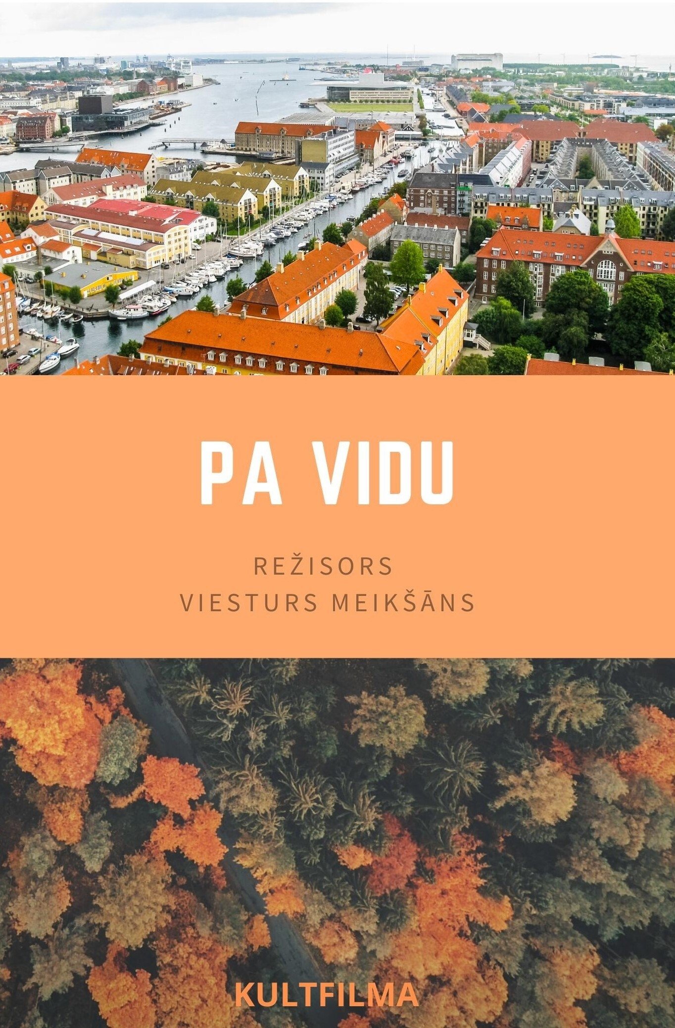 Poster de Pa vidu