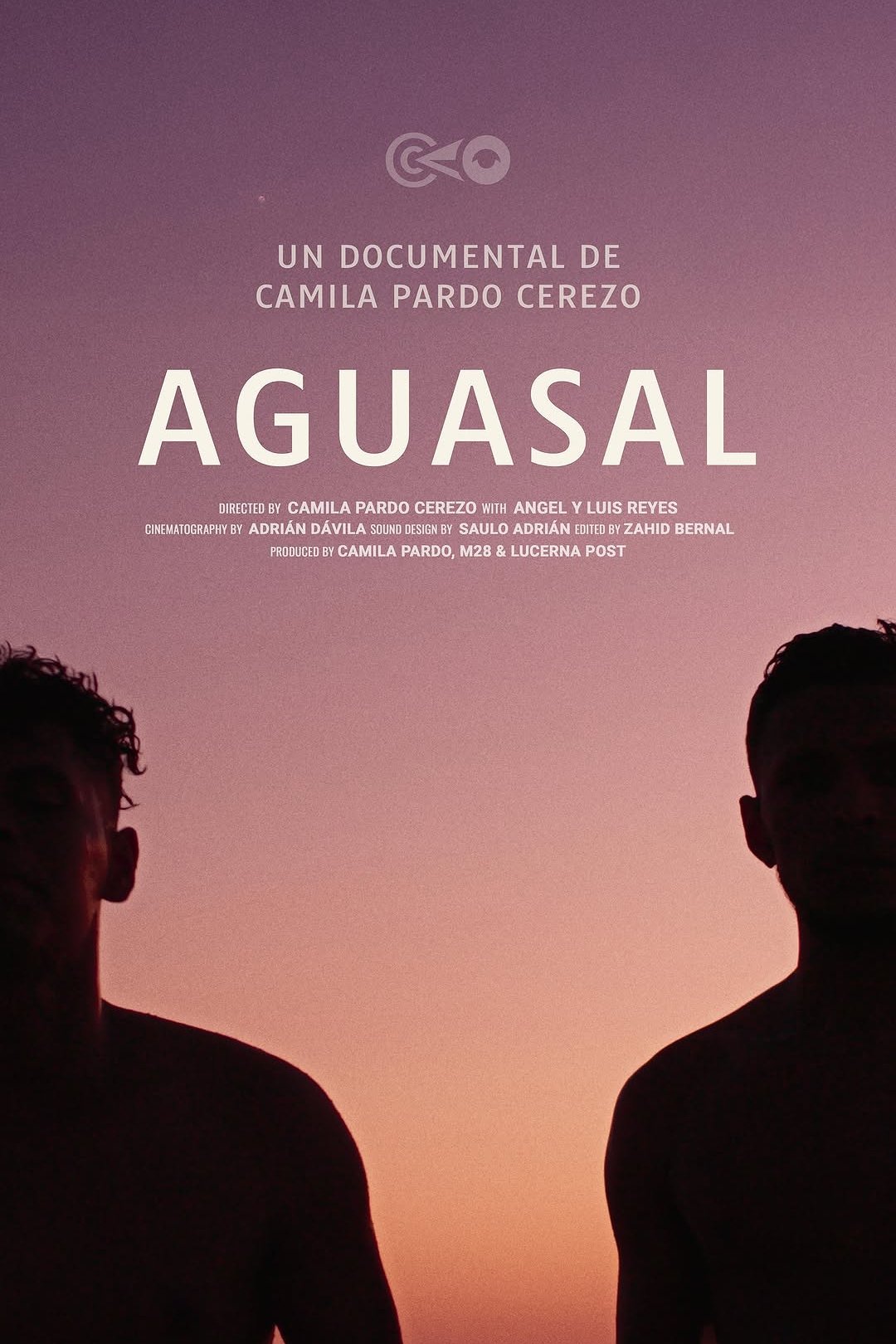 Poster de Aguasal