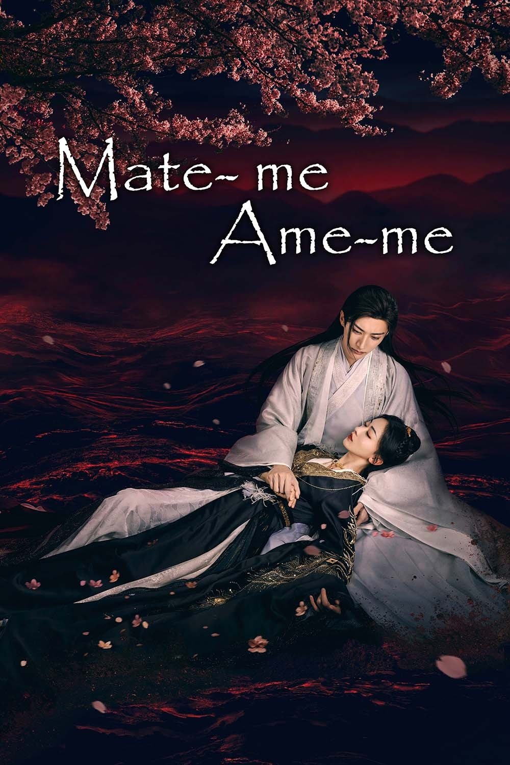 Poster de Mate-me, Ame-me