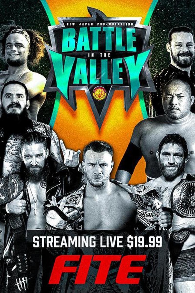 Affiche du film NJPW: Battle In The Valley