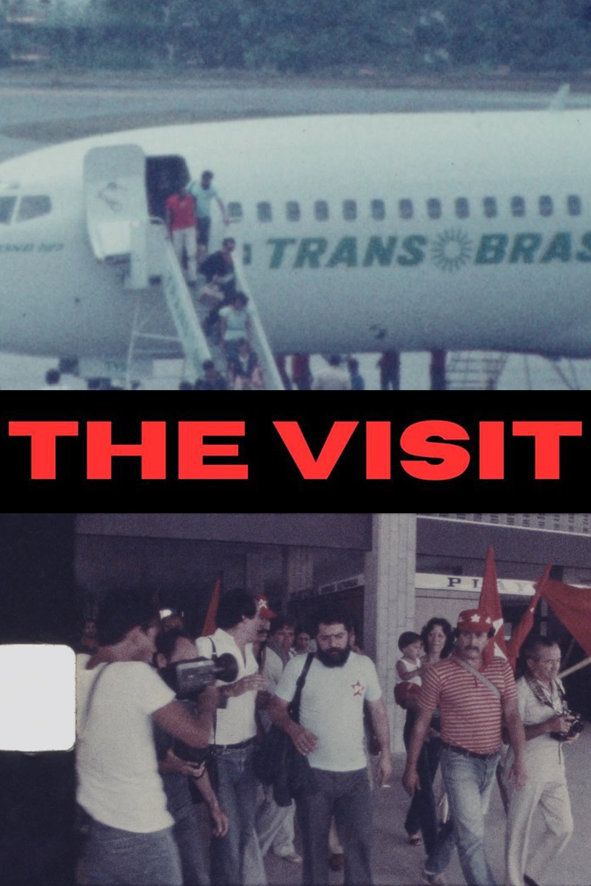 Poster de A Visita