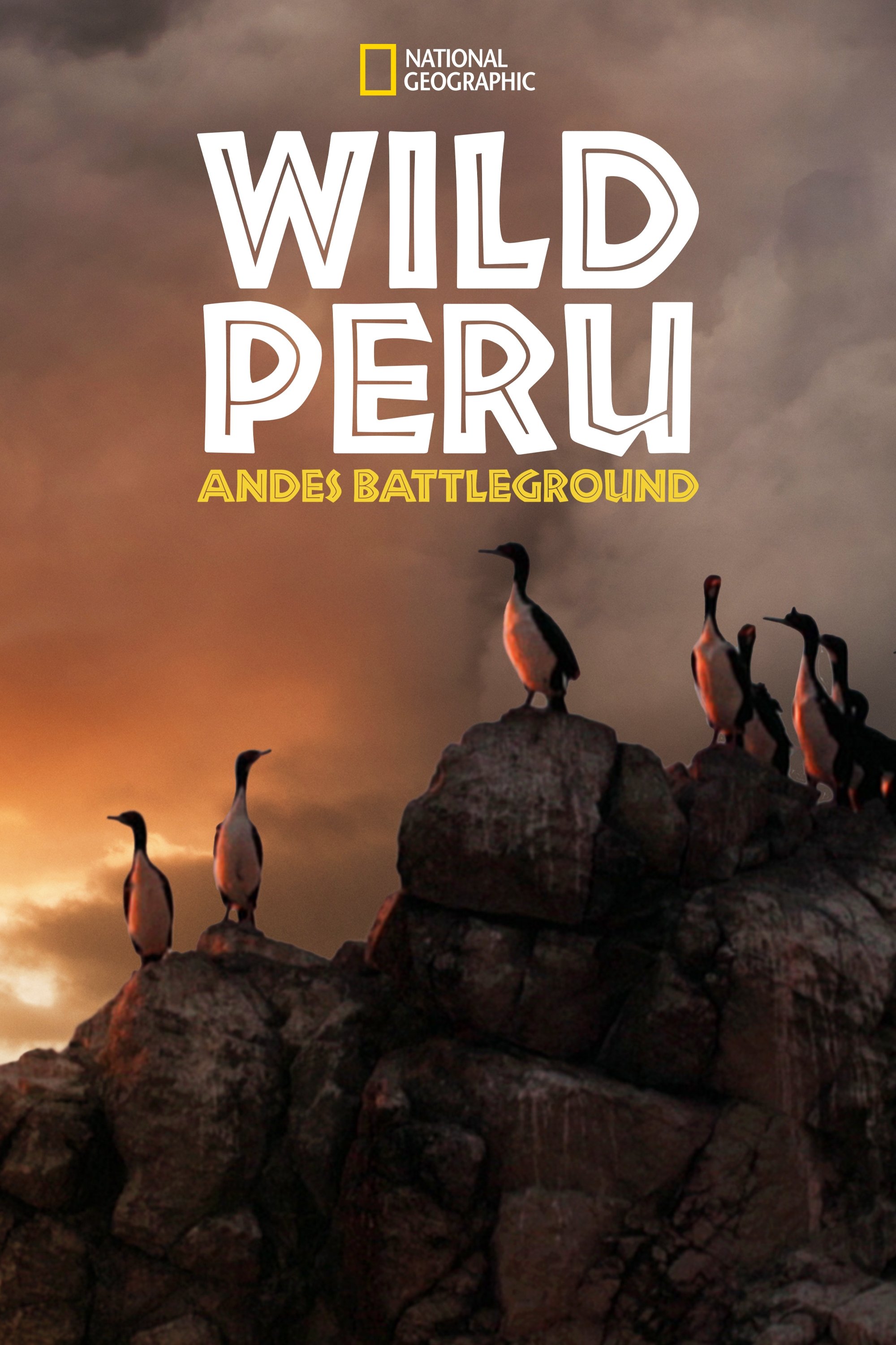Poster de Andes: Batalhas de Sobrevivência