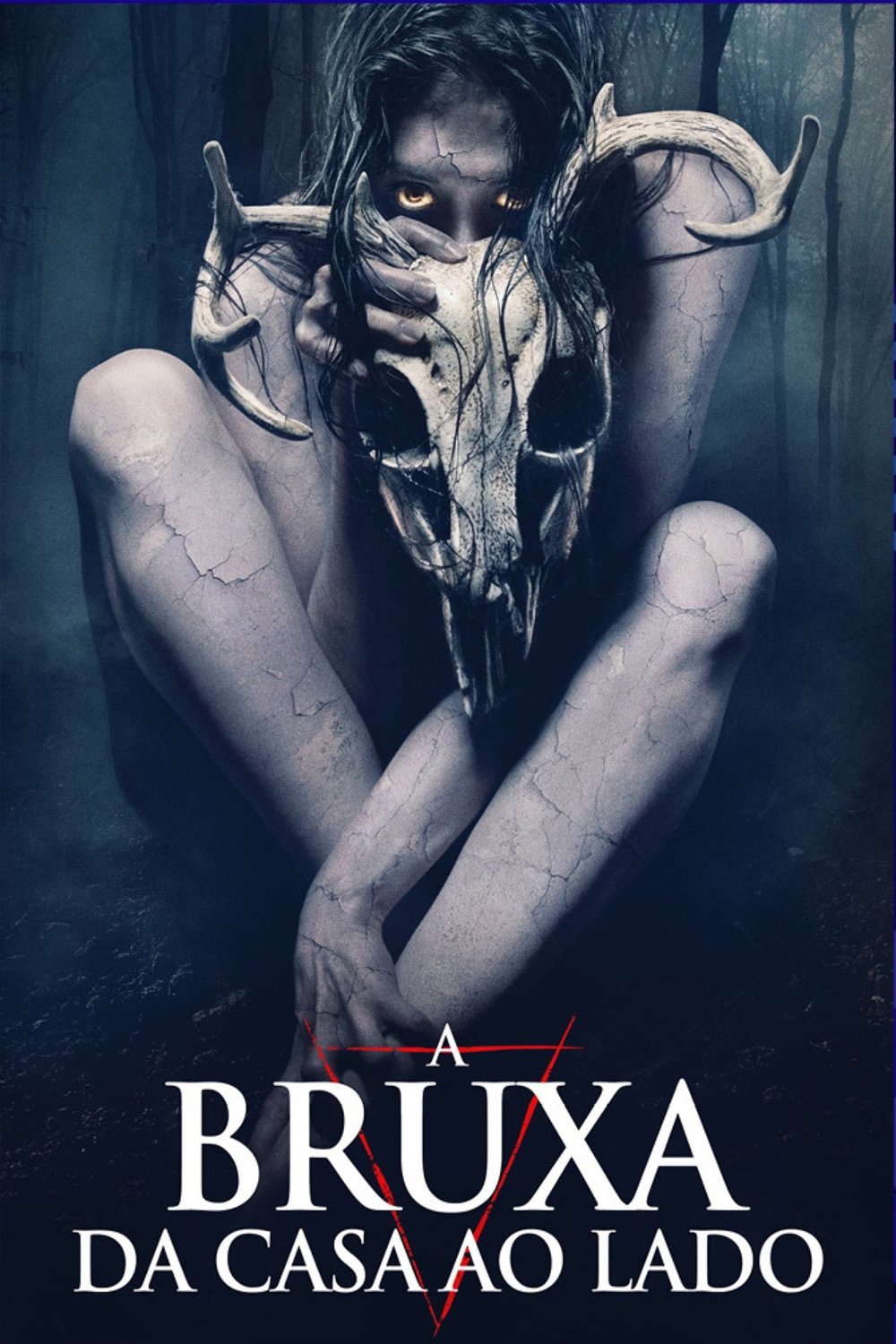 Poster de A Bruxa da Casa ao Lado