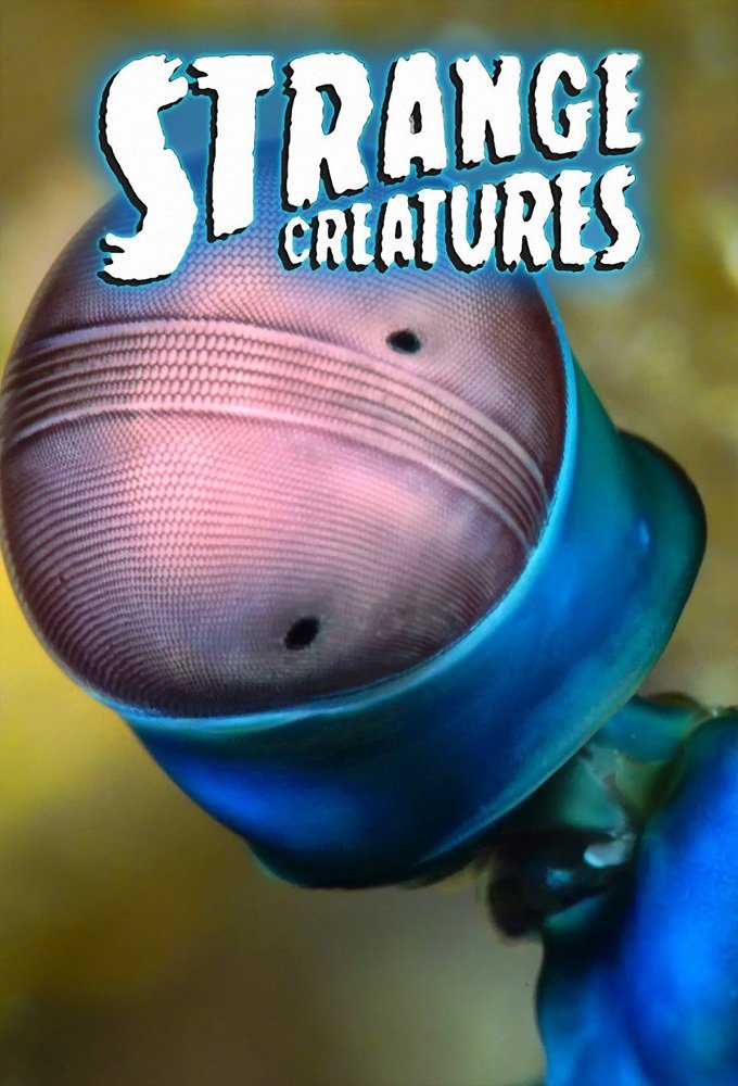 Poster de Criaturas Estranhas