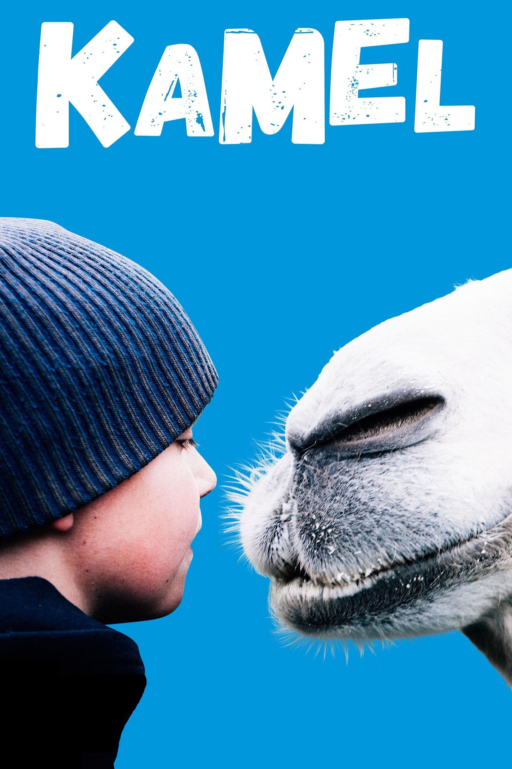 Poster de Kamel