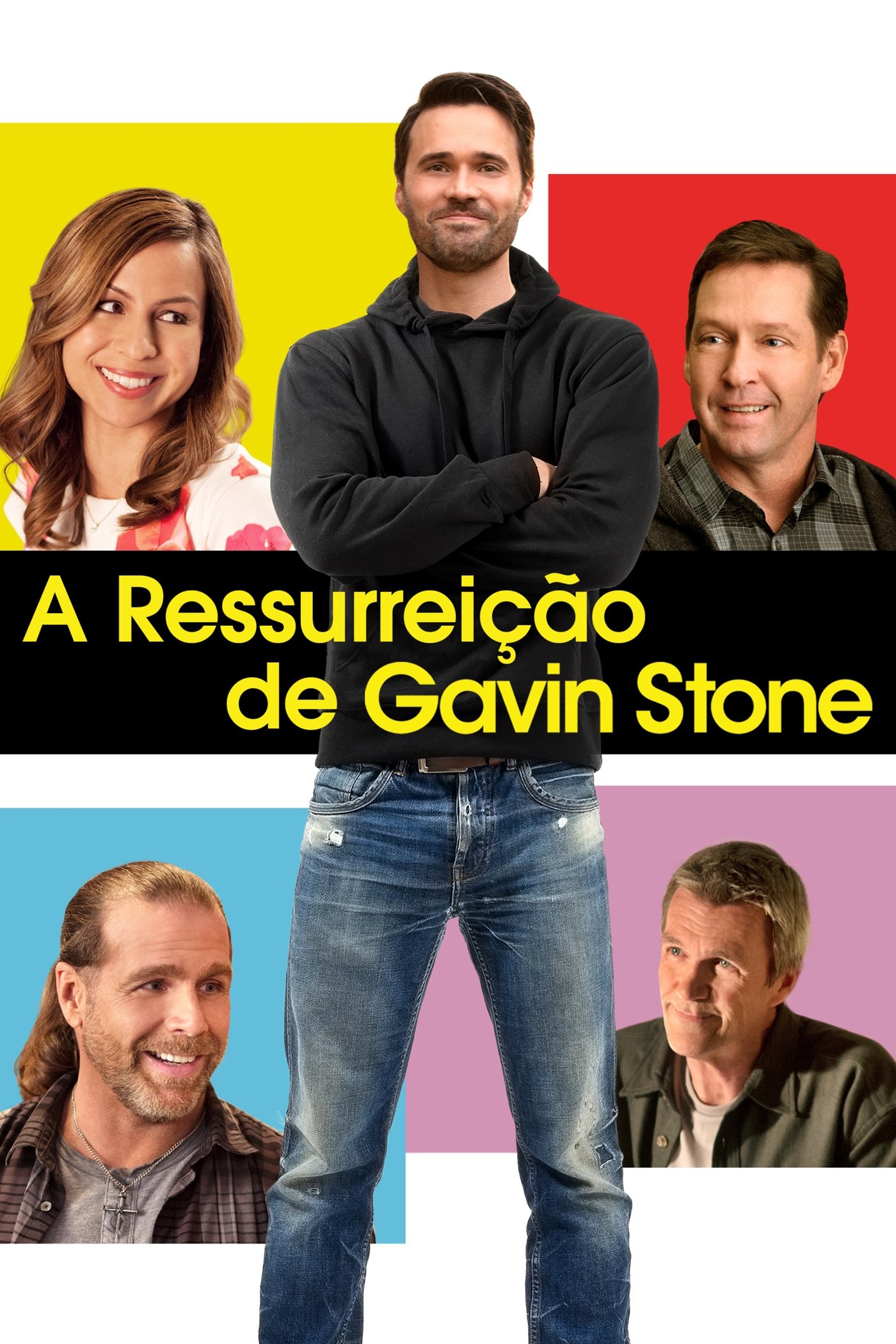 Poster de A Ressurreição de Gavin Stone
