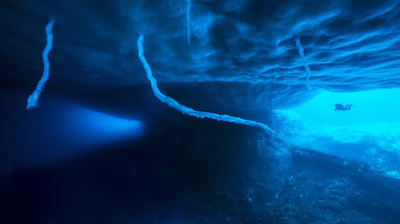 Backdrop image