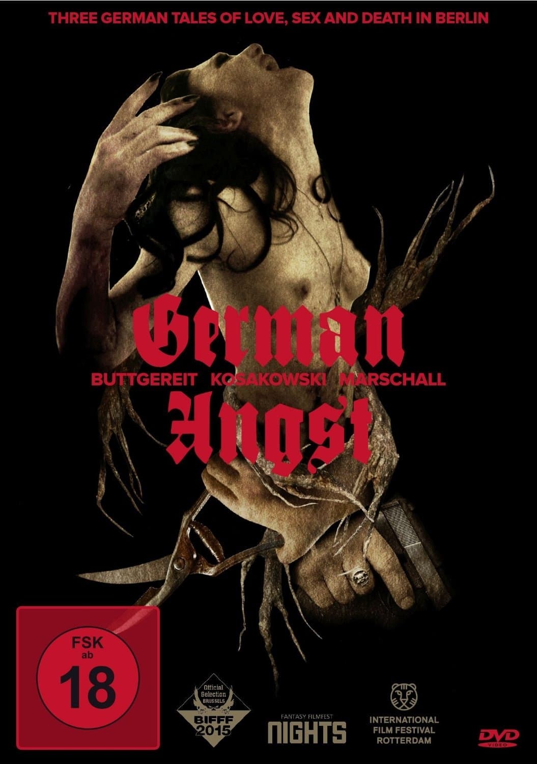 Affiche du film German Angst