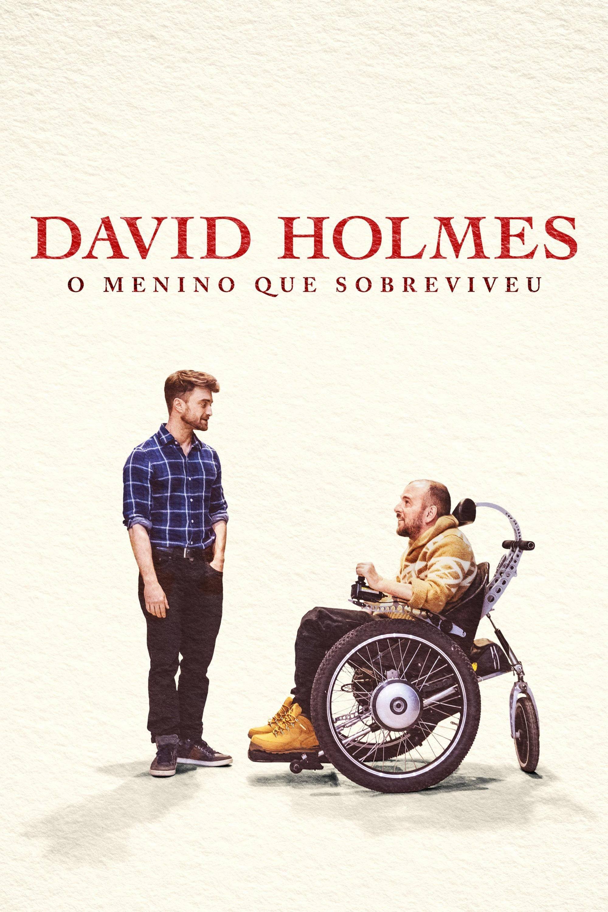 Poster de David Holmes: O Menino que Sobreviveu