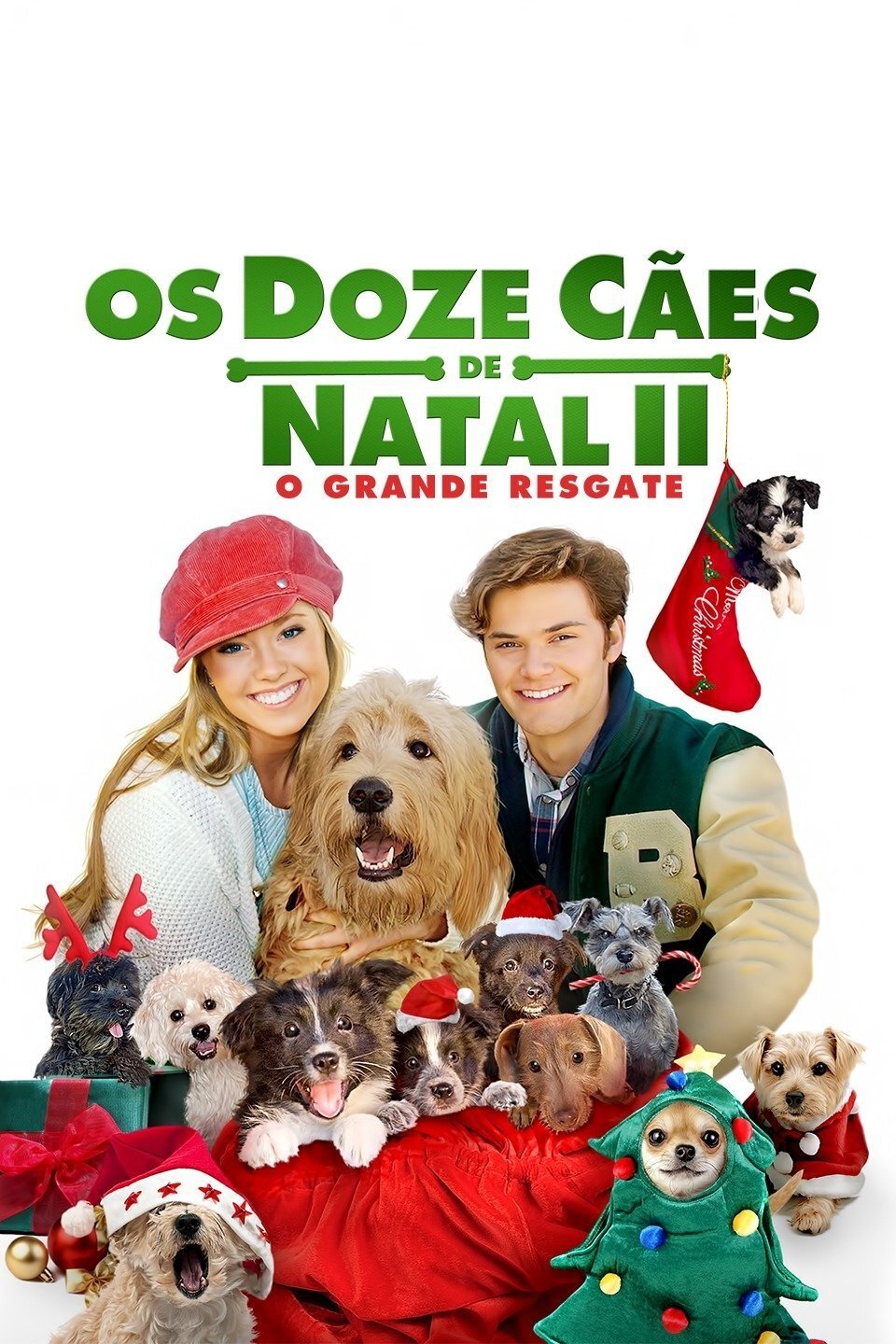 Poster de Os Doze Cães de Natal II: O Grande Resgate