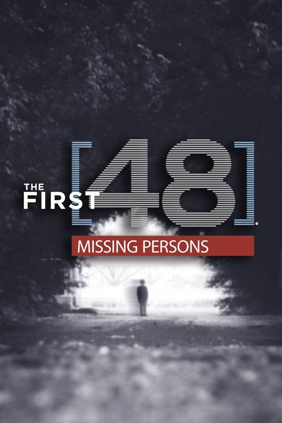 Poster de The First 48: Missing Persons