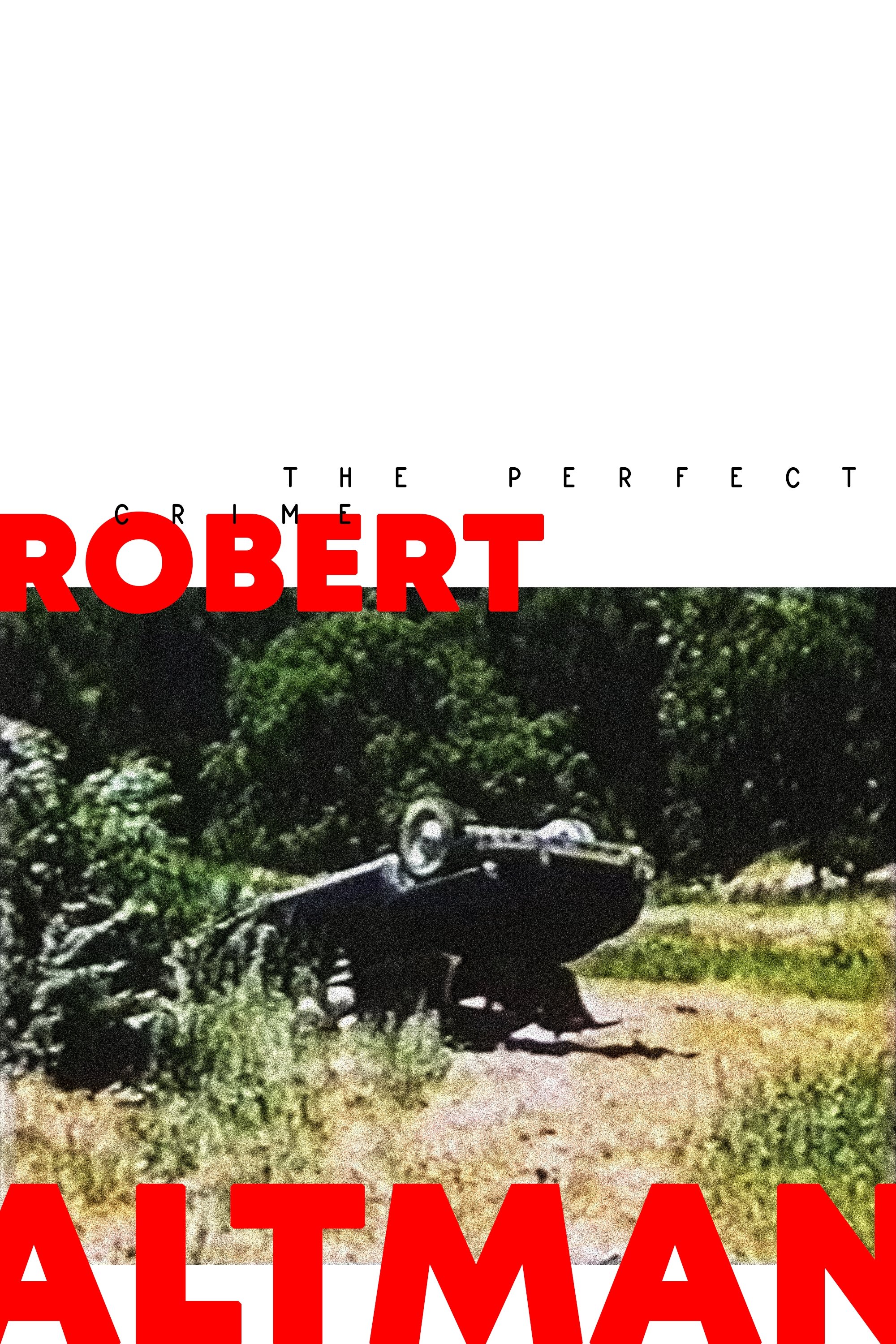 Poster de The Perfect Crime